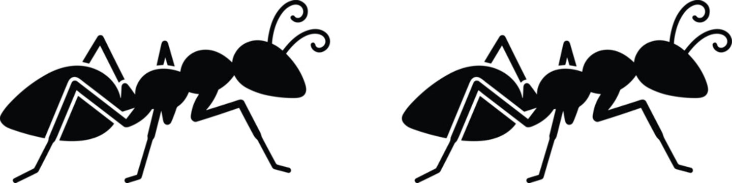 Silhouette of two ants facing right representing teamwork cooperation diligence and nature in minimal black and white vector design concept