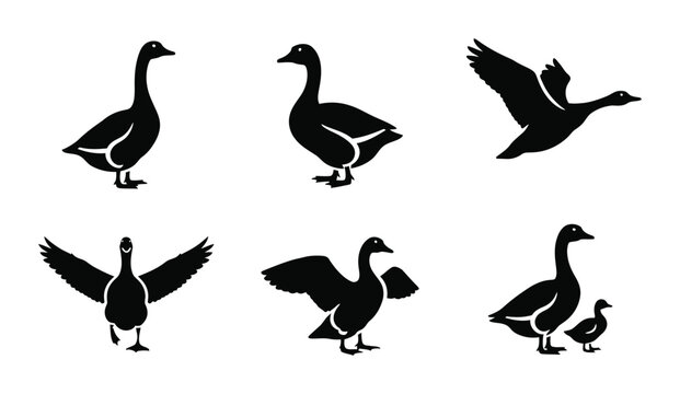6 Goose silhouette icons flying standing gosling, solid black style, farm animal wildlife set