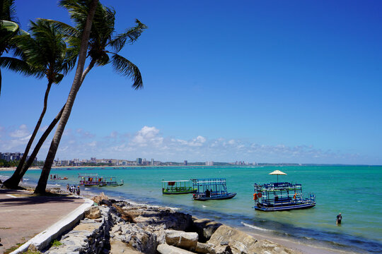 Tropical Beach Coastline with Traditional Boats and Palm Trees in Maceio, Brazil