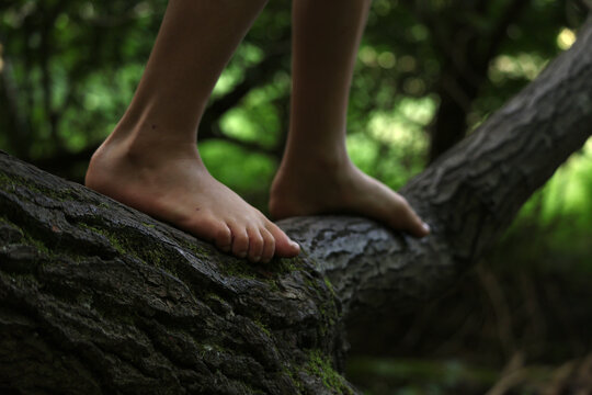 walking on a tree with bare feet