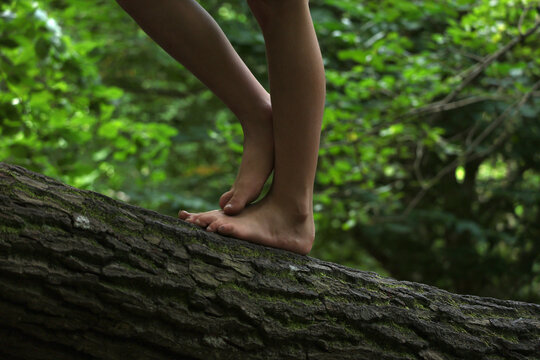 walking on a tree with bare feet