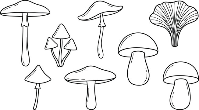 Set of minimalist mushroom outline icons depicting various forest fungi species for organic food logos botanical drawings and autumnal nature themes.

