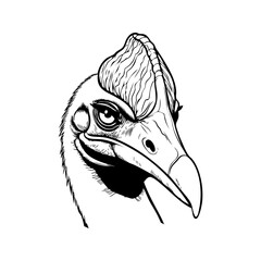 Dibujo detallado de la cabeza de un casuario visto de perfil  © teracreonte