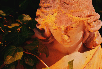 Naklejka premium Weathered stone angel surrounded by ivy in golden evening sunlight