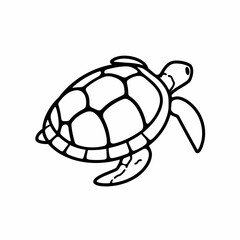 Sea Turtle Illustration © Jen