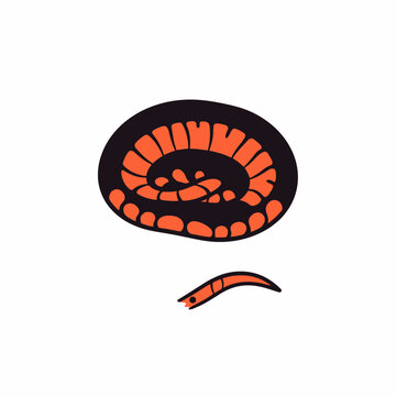 Red worms illustration