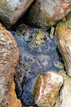 Close-up of crystal clear sea water in a rocky coastal pool