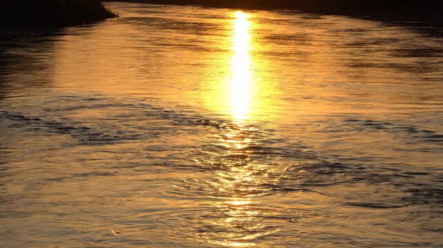 a calm river at golden hour. Entire frame filled with water surface. Sunlight reflects as flickering gold patches. Slow gentle movement. No banks visible.