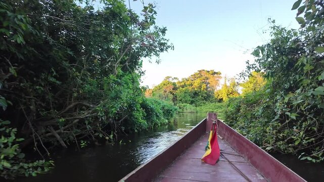 Wooden Boat Navigating the Amazon River Jungle in Bolivia at Sunset