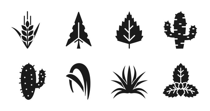 Botanical Icons Set: Wheat, Pine, Leaf, Cactus, Agave, Grass Vector Graphics