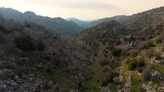Scenic aerial footage of a rocky valley with sparse trees and natural terrain near Douma, Lebanon, captured in soft mountain light.