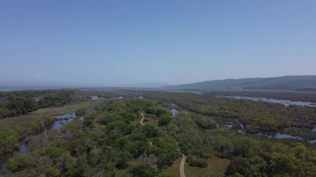 Aerial View of Karacabey Longoz Forest in Bursa with Flooded Wetlands, Natural Water Channels and Dense Green Marsh Landscape