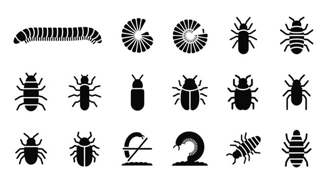 Set of insect icons, collection of centipede and millipede vector signs and symbols, in flat style for web.