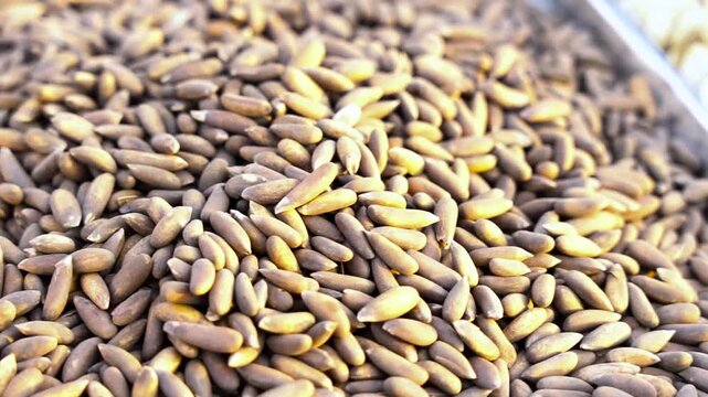 Close up view of unshelled pine nuts in a large pile, food ingredients a high angle, static shot focuses on heaping