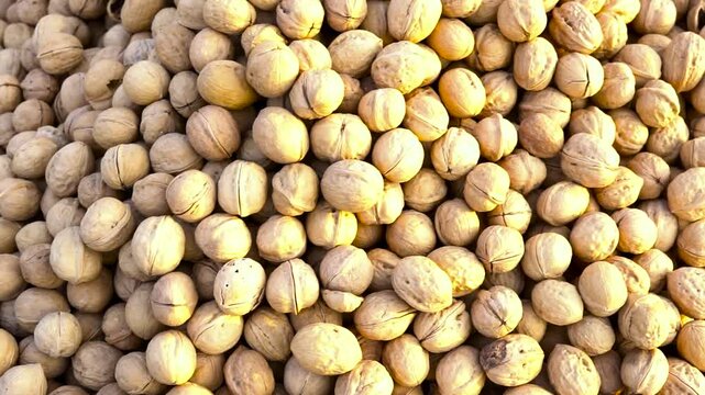 Unshelled walnuts piled high in a large container, natural food product a macro view captures vast collection