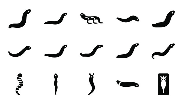 Set of flat worm and planaria icons isolated on white background.