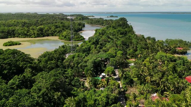 Scenic aerial flyover of coastal forest and shoreline in Buenavista, Guimaras, Philippines with dense tropical vegetation and seaside landscape.