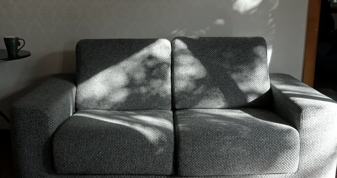 Afternoon sunlight filtered through the leaves, casting dappled shadows on the gray sofa.
