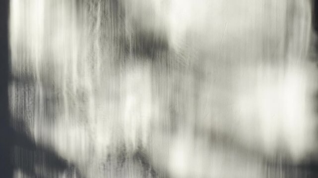 shadowy silhouettes of windblown foliage dancing across a sunlit textured wall in a minimalist cinematic monochrome dreamscape
