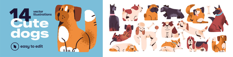 Fototapeta na wymiar Cute dogs set. Happy puppies of different breeds- basset hound, corgi, dachshund, poodle, pug, bulldog. Funny characters, lovely pets, domestic animals. Flat isolated vector illustrations on white