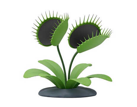 Stylized Venus Flytrap Plant