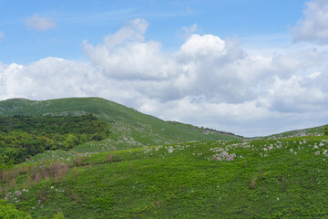 新緑が美しい5月の秋吉台 日本最大級のカルスト台地 © ibuki