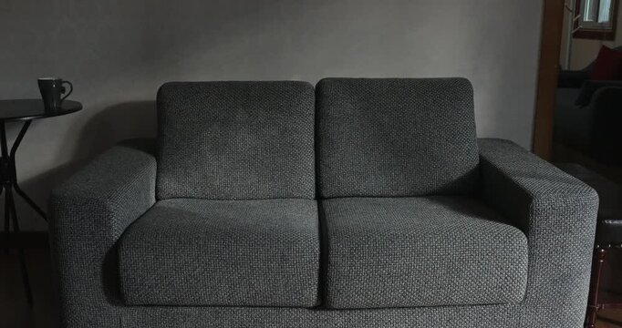 Afternoon sunlight filtered through the leaves, casting dappled shadows on the gray sofa.