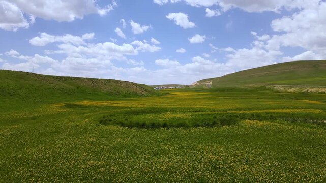 Footage of meandering streams flowing through wild wildflowers against cloudy blue sky.