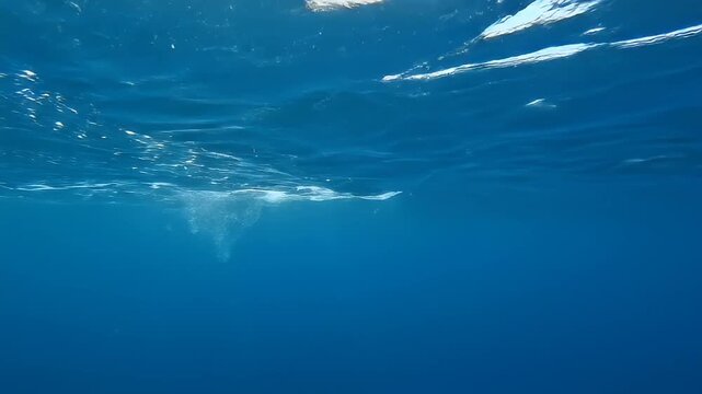 Bubbles and ripples on the surface of the deep blue ocean