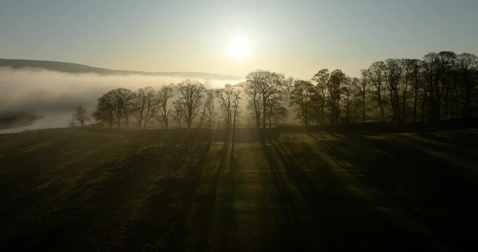 Sunrise over row of trees and a foggy valley