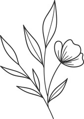 Obraz premium Minimalist floral line art, delicate flower and leaves illustration, botanical outline drawing
