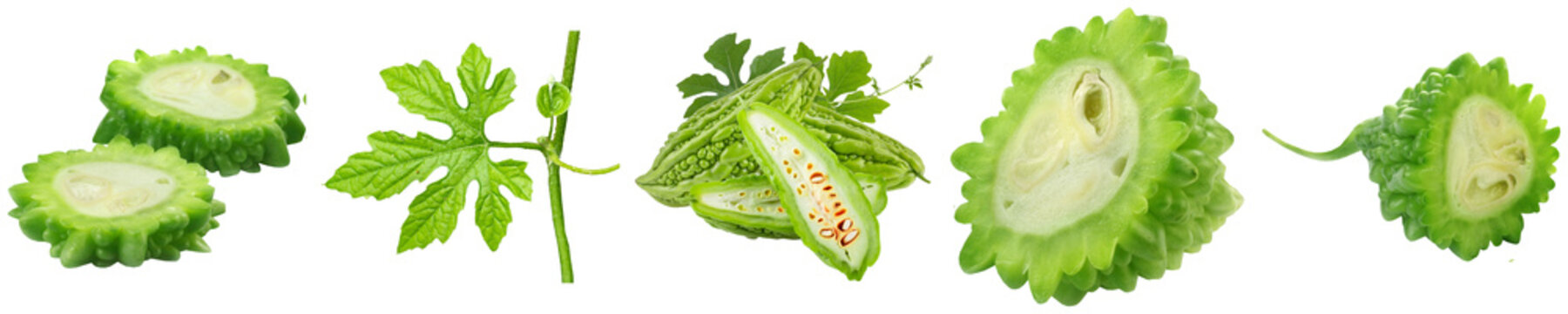 Bitter melon (Momordica charantia) whole and sliced, isolated on transparent background