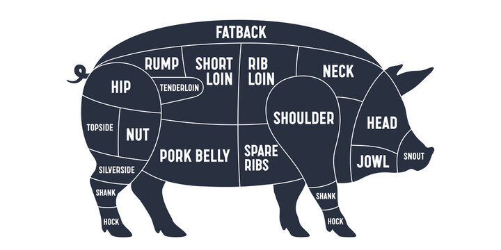 Pig chart, labeled pork silhouette, meat butcher icon. Pork meat cuts chart infographic, pig farm scheme, butcher brand. Butchery store pork banner, pig silhouette product. Vector Illustration