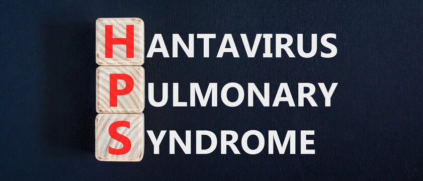 HPS hantavirus pulmonary syndrome symbol. Concept words HPS hantavirus pulmonary syndrome on beautiful wooden blocks. Beautiful black background. Medical HPS Hantavirus concept. Copy space.