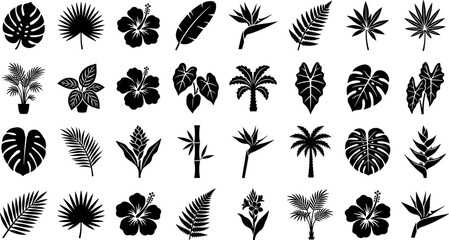 Tropical leaf and exotic flower silhouette collection with botanical palm jungle vector icon set illustration design © Shasa