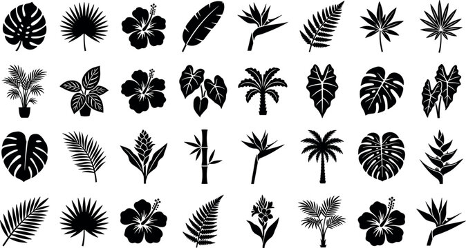 Tropical leaf and exotic flower silhouette collection with botanical palm jungle vector icon set illustration design