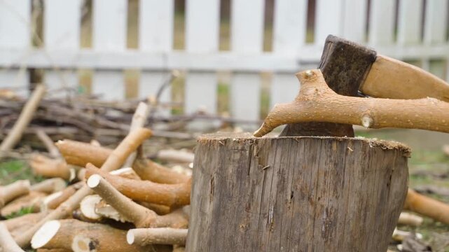 Chopping wood with axe on tree stump in backyard. Splitting branches into firewood with rusty hatchet next to woodpile