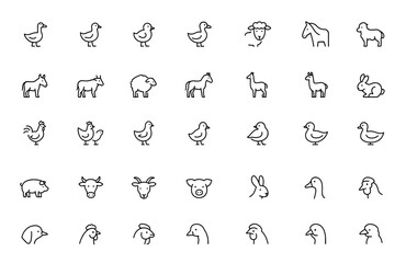 Farm animal vector line icon set with thin linear illustrations of domestic goose, turkey, chick, duckling, duck, sheep, horse, pig, donkey, ox pictograms, livestock, agriculture, farmstead © JIm Studio