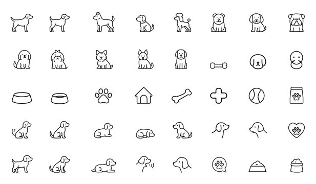 Vector line icon set of dog breeds: labrador, golden retriever, german shepherd, beagle, bulldog, poodle, dachshund, pug, shih tzu, maltese, yorkshire terrier thin linear illustration.
