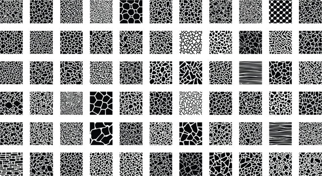 Collection of black and white abstract organic and geometric patterns, animal prints, and textures