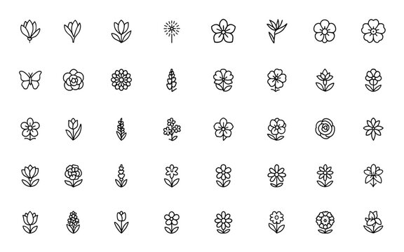 Vector line icons set of flowers featuring magnolia, crocus, calla lily, dandelion, azalea, bird paradise, anemone, and various species - thin linear pictograms illustration, nature, botanical.