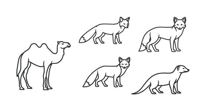 Desert Animals Collection: Camel, Foxes, Mongoose Line Art Illustration