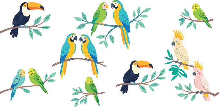 Colorful tropical bird collection vector illustration, parrots toucans cockatoos budgerigars perched on branches, cute cartoon wildlife design set