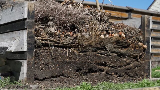 Layered compost pile in wooden bin with dry plant stems and organic waste. Backyard composting with visible decomposition layers in spring garden