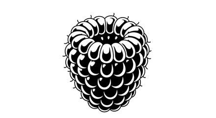Obraz premium Black and white illustration of a ripe raspberry on a white background