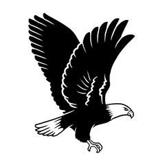 Obraz premium black and white of flying eagle