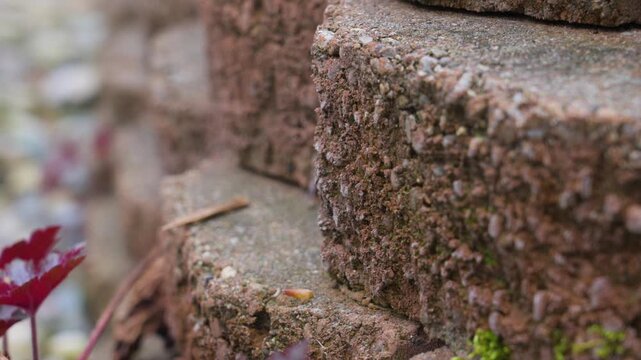 High angle view and the weathering on an old retaining wall.