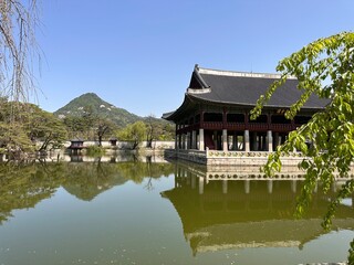 Naklejka premium Visitors explore a historic palace area by a calm water pond surrounded by trees and green hills in Seoul during a clear sunny day in spring