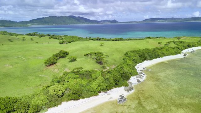 Stunning drone view of green rolling hills and lush pastures bordering the crystal clear ocean.