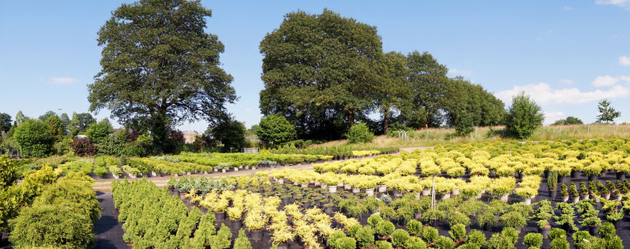 Gartenbau - G&auml;rtnerei im Sommer mit Pflanzen f&uuml;r den Garten im Freien